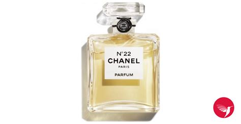 chanel n2 perfume|chanel no 22 perfume.